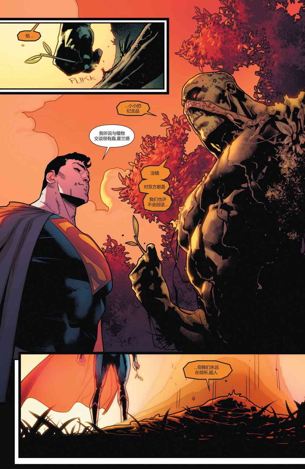 34.jpg