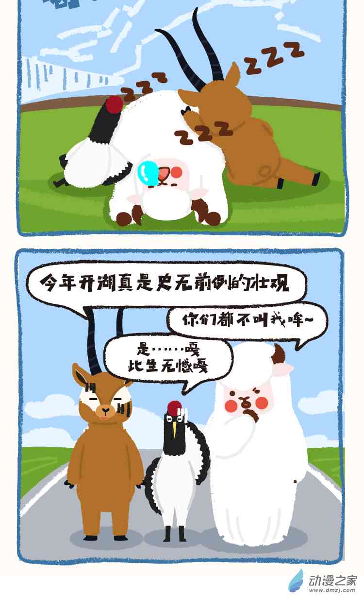 5.jpg