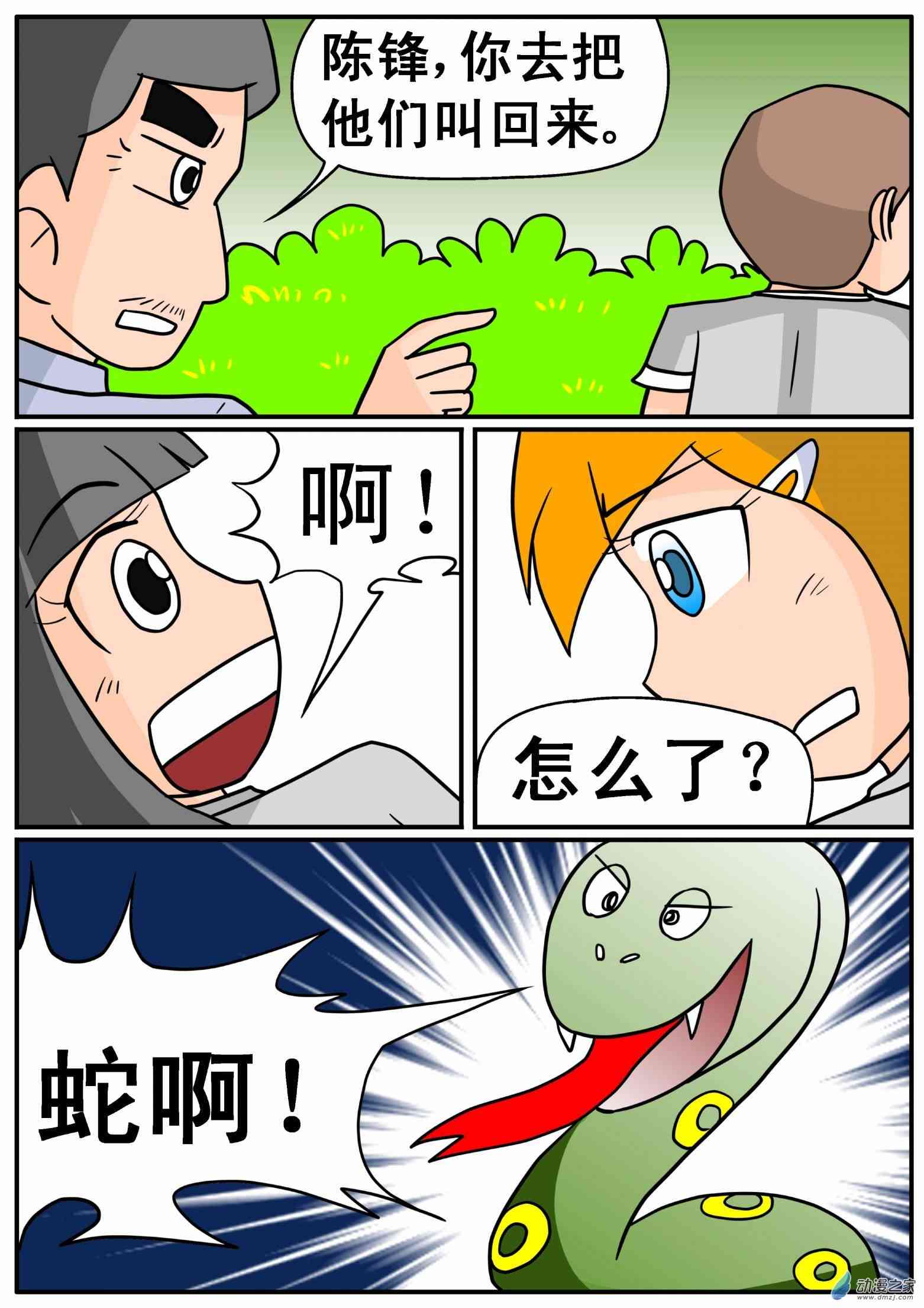 10.jpg
