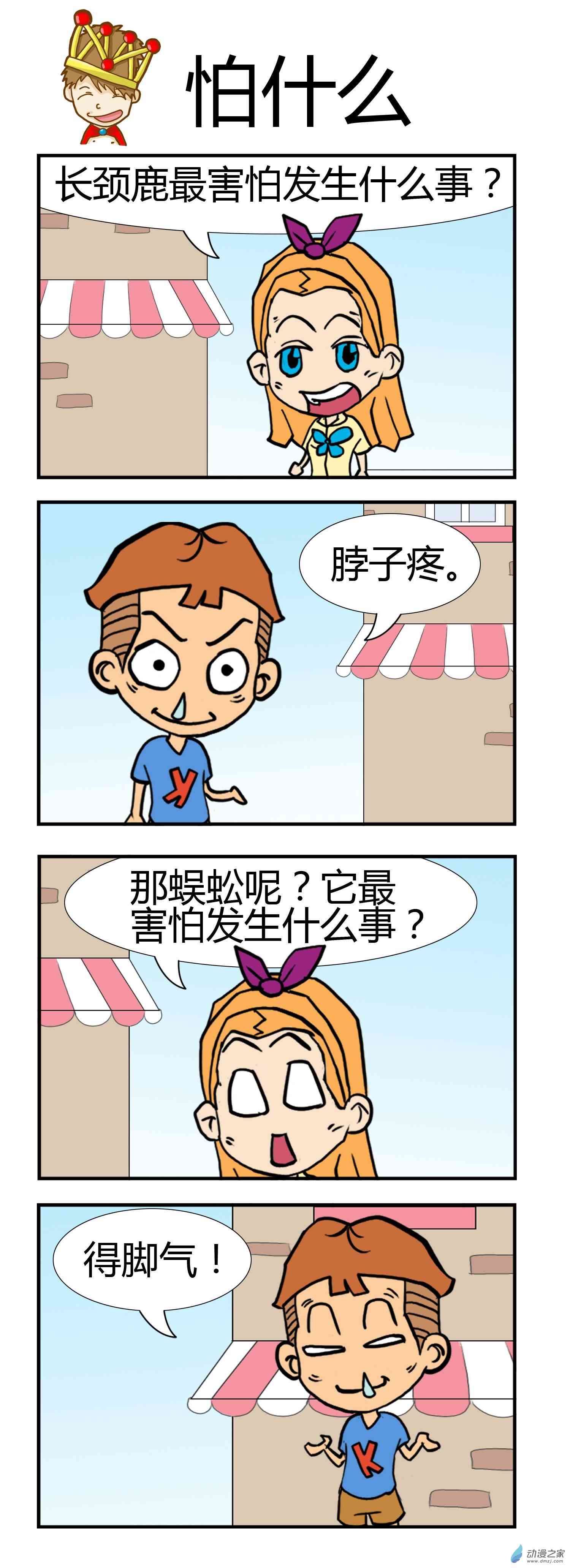 5.jpg