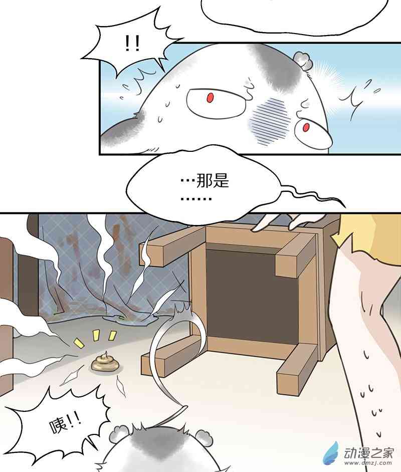 43.jpg