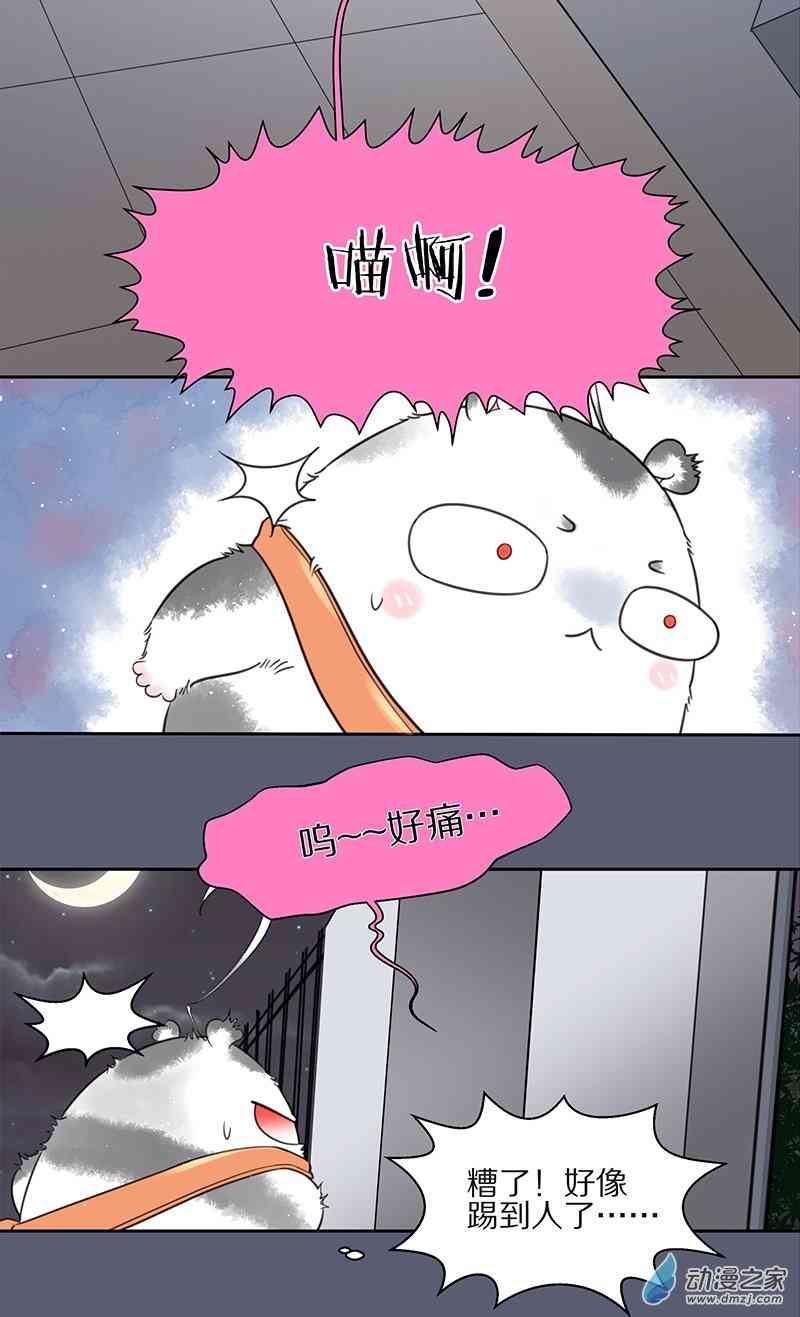 20.jpg
