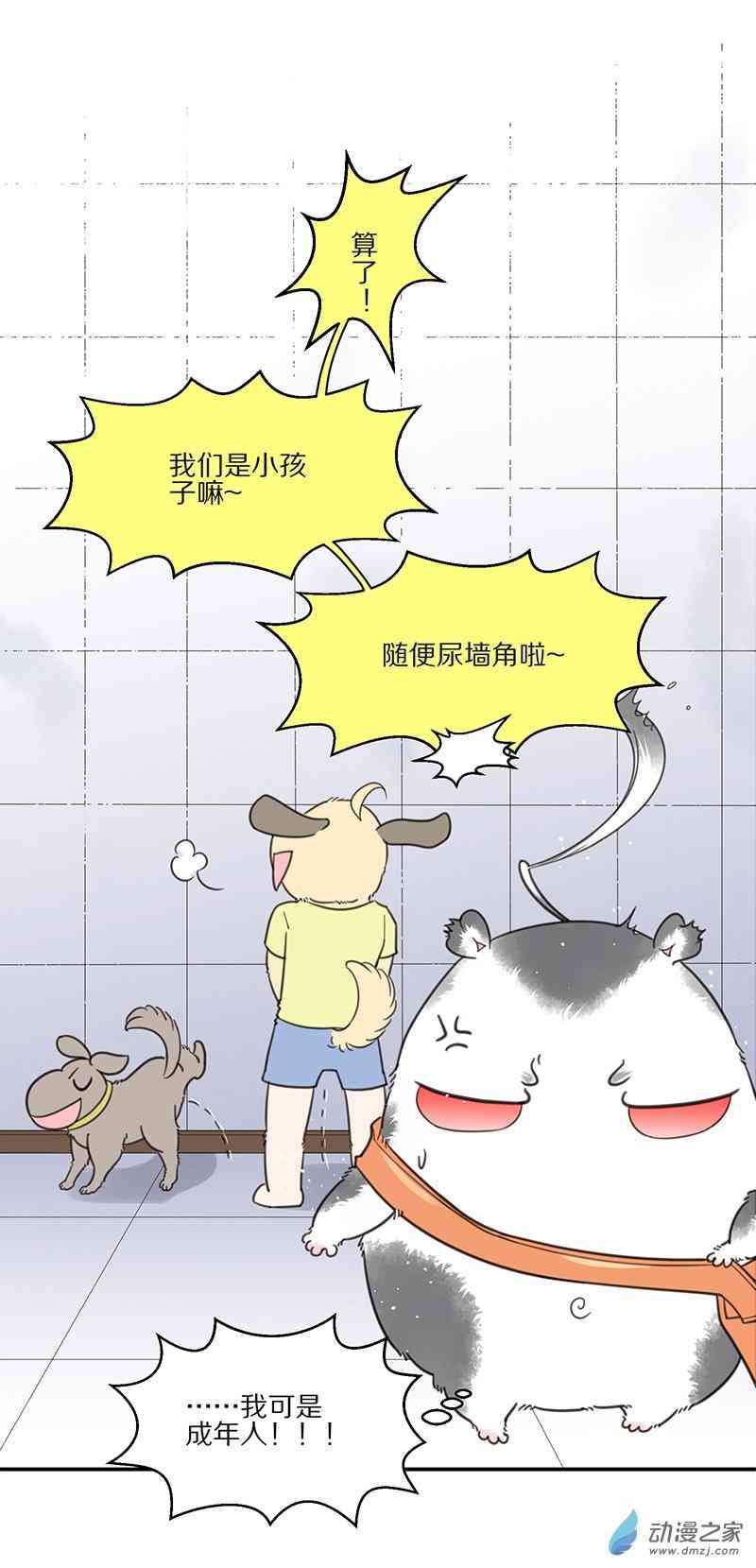 15.jpg