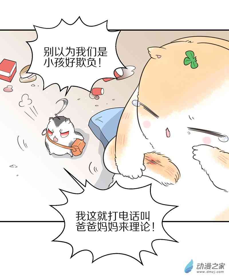 23.jpg