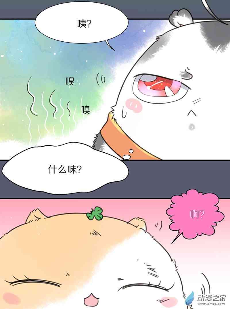 18.jpg
