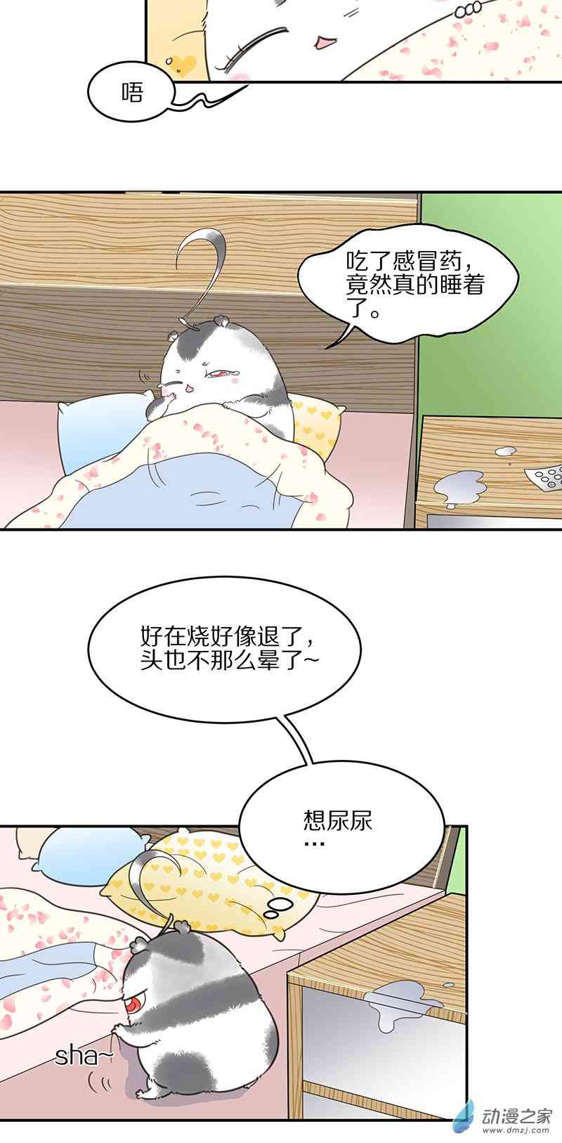 15.jpg