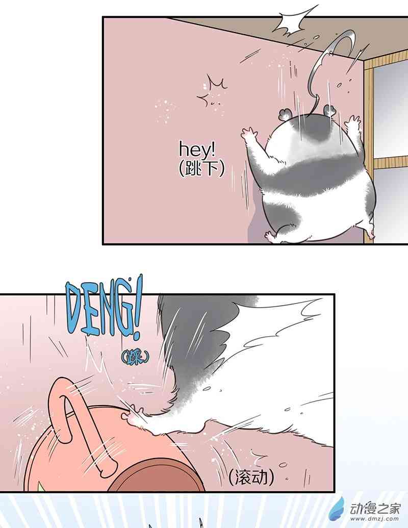 16.jpg