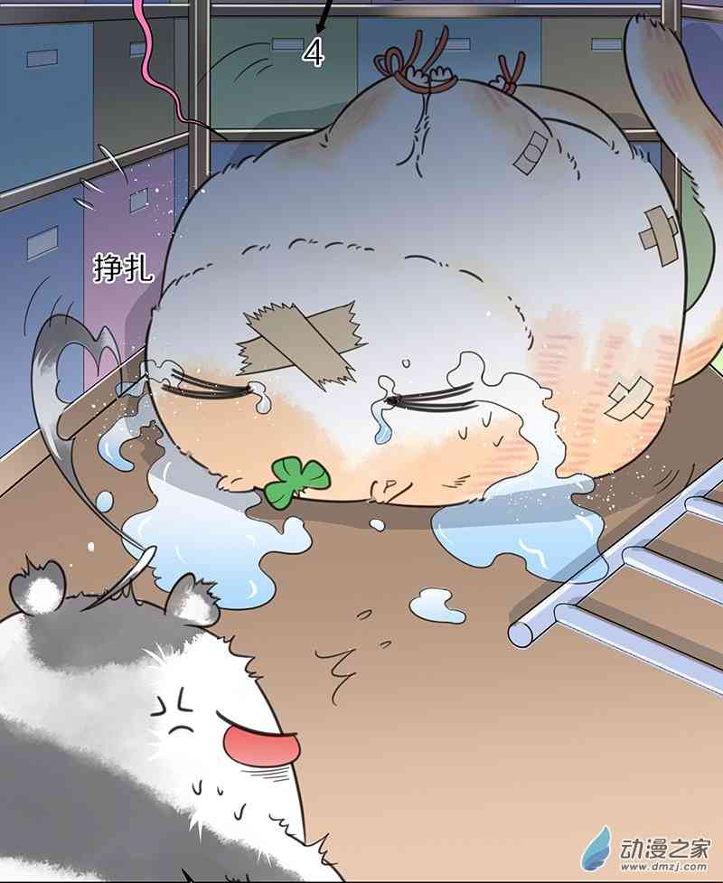 8.jpg