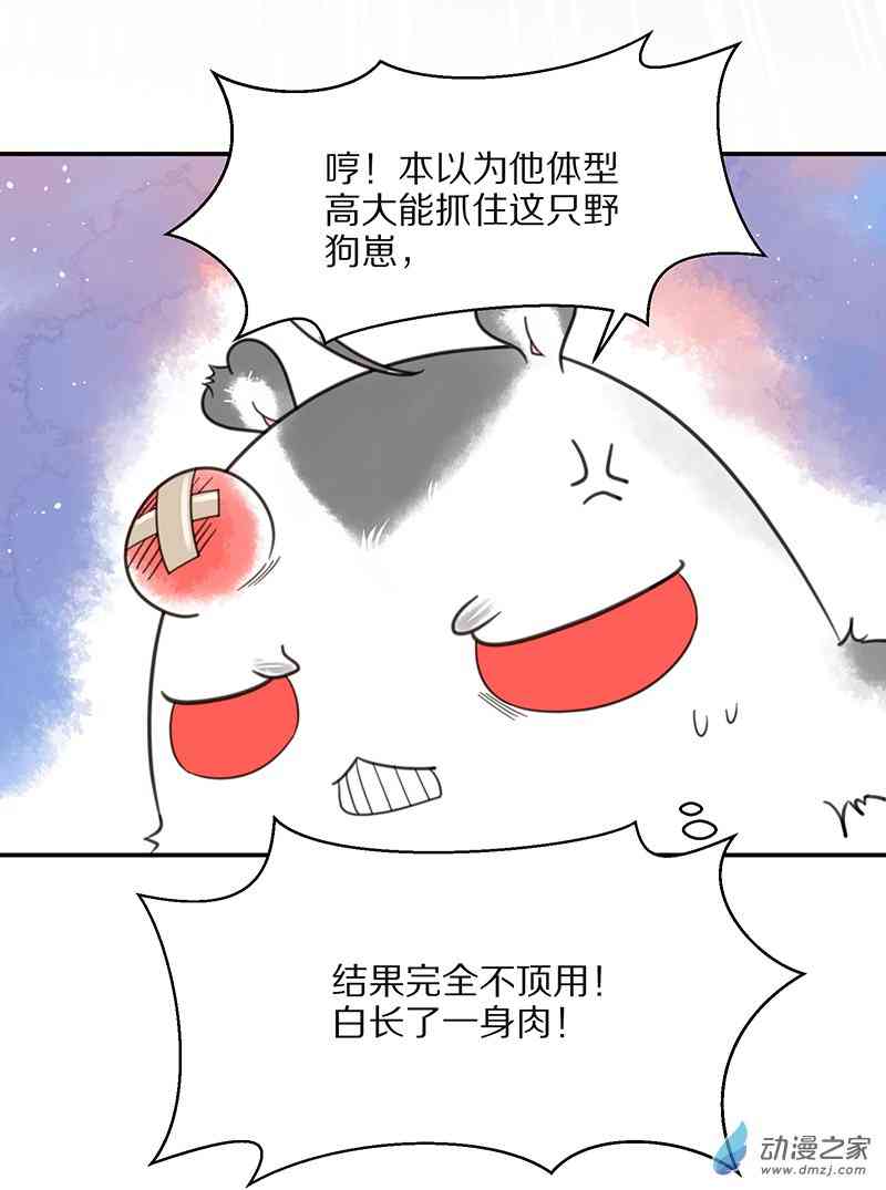 22.jpg