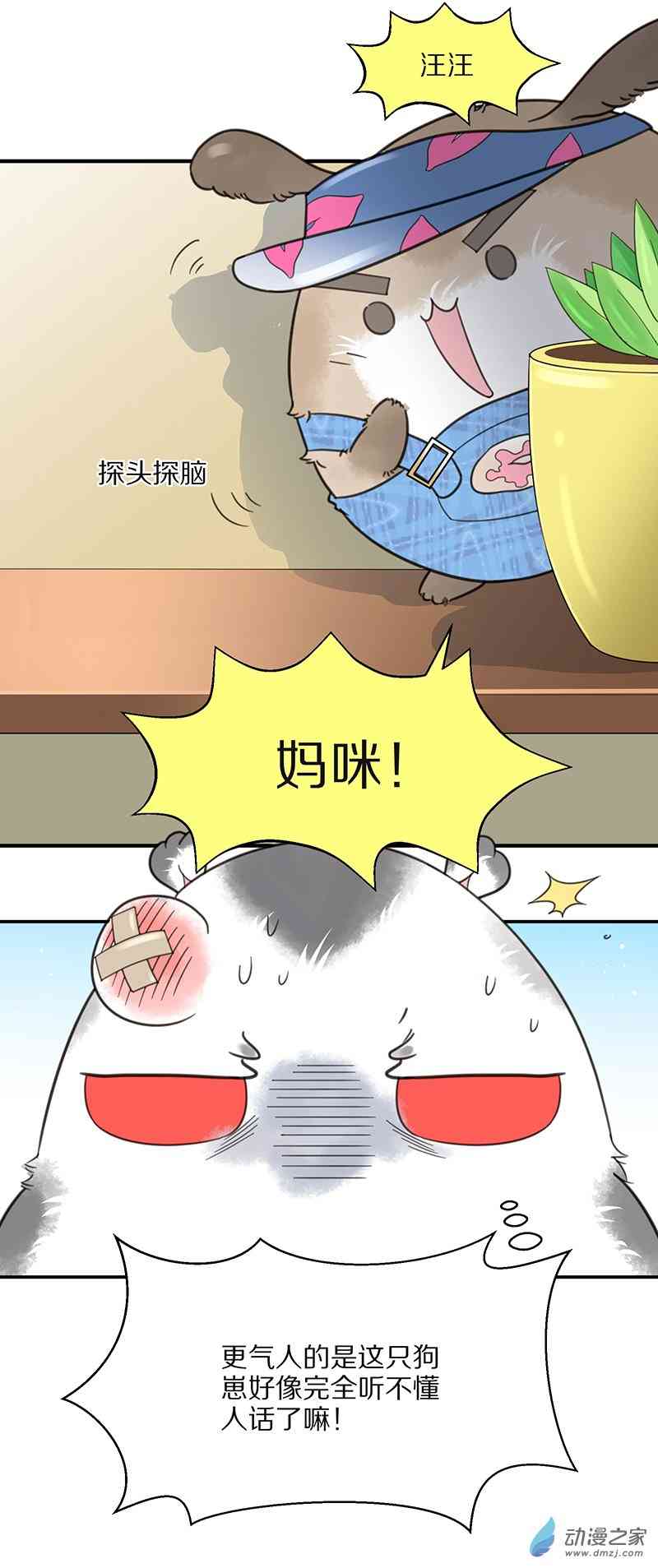 23.jpg