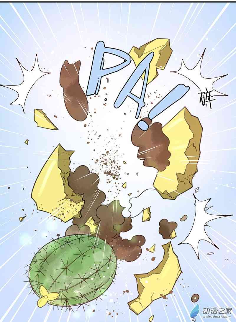 15.jpg