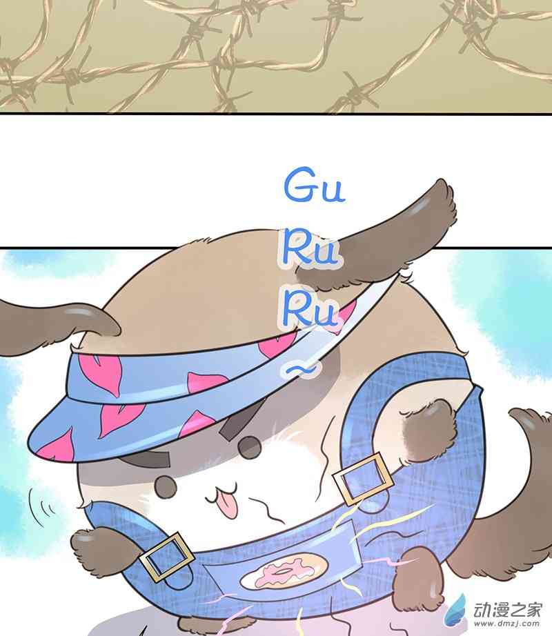 19.jpg