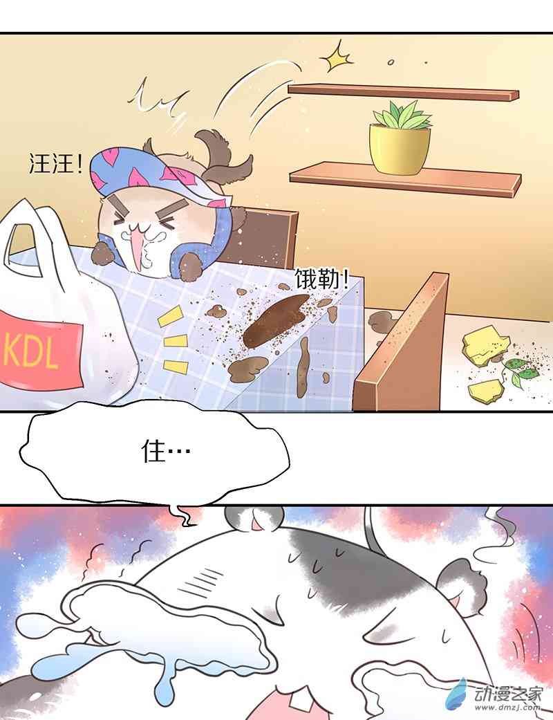 21.jpg