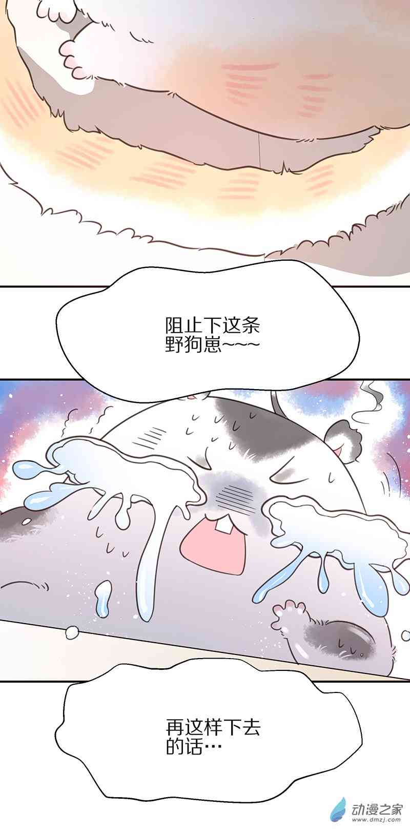 25.jpg