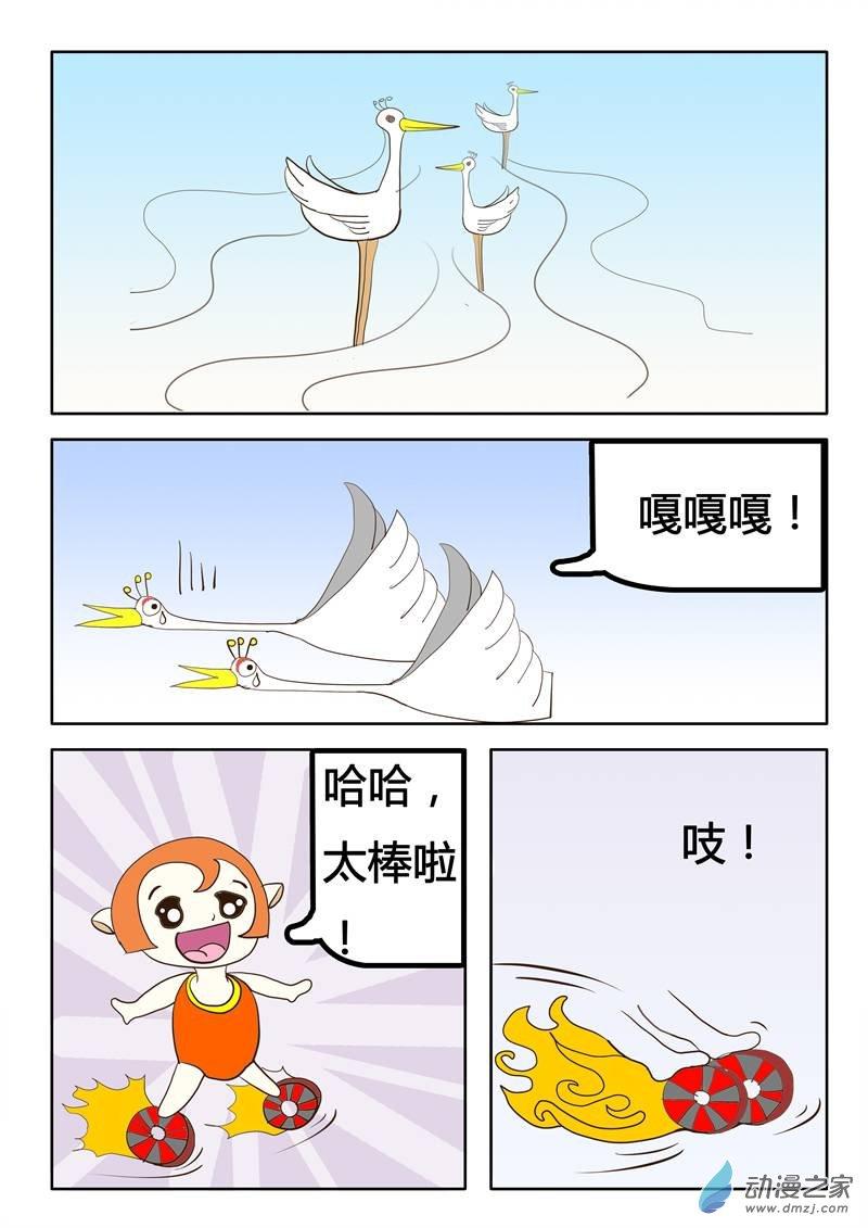 5.jpg