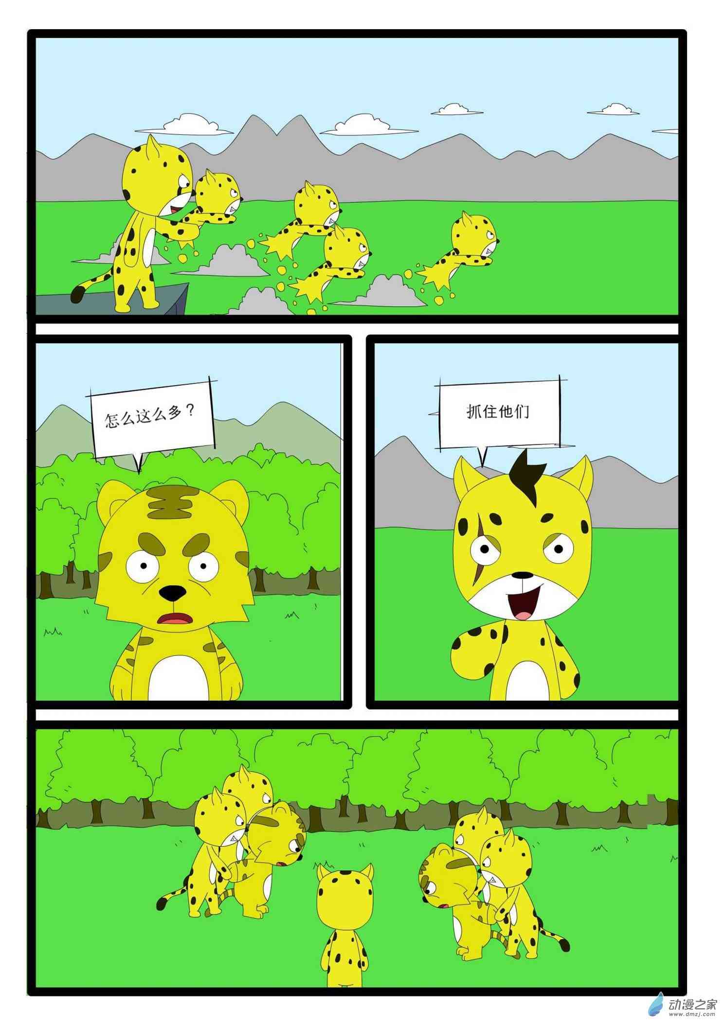 5.jpg