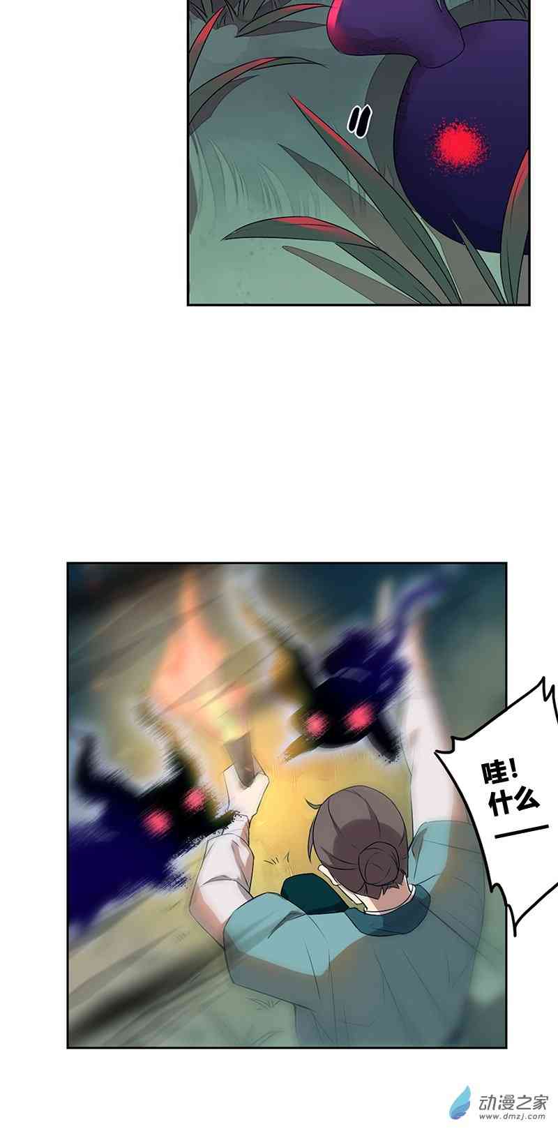 17.jpg