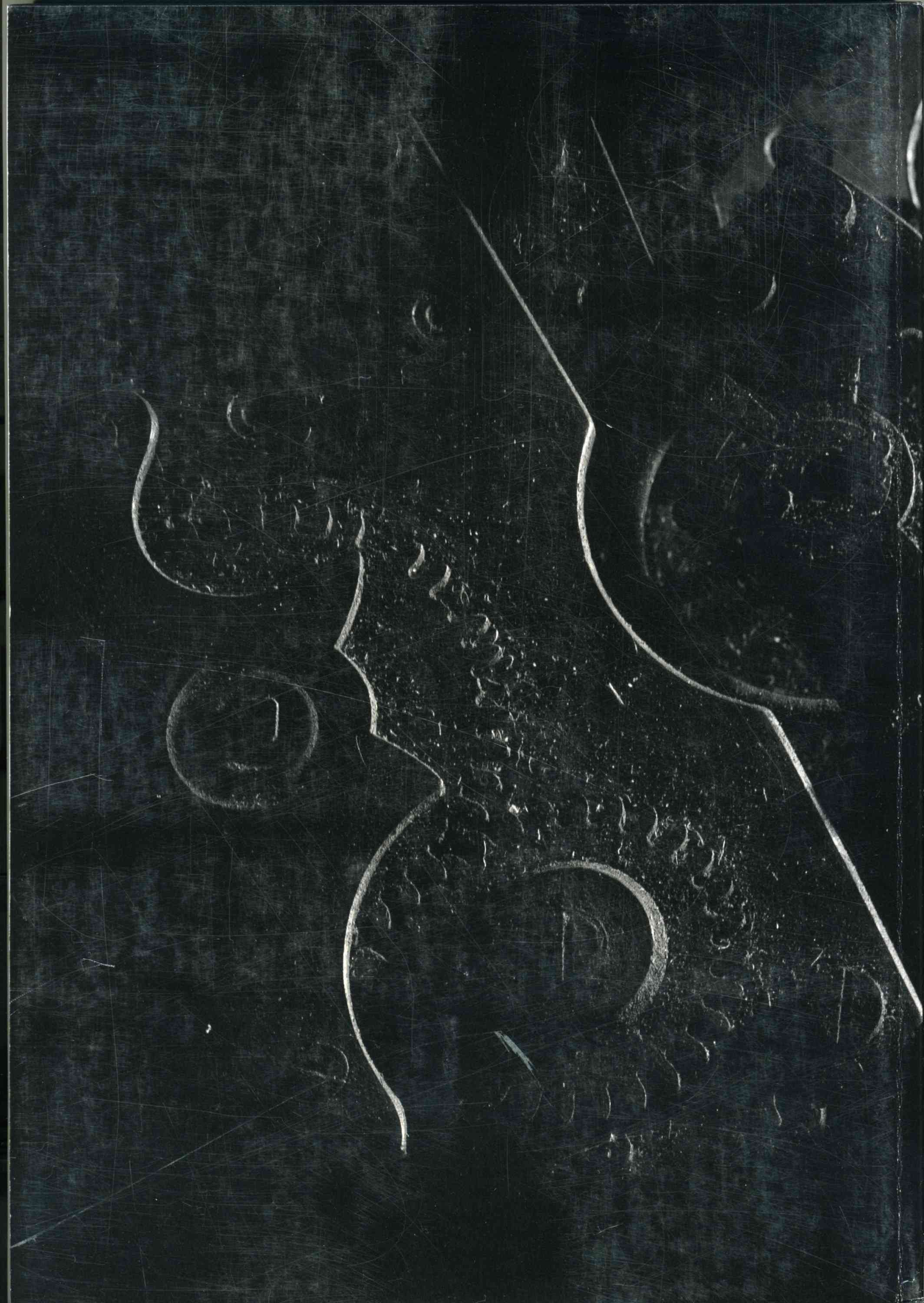 196.jpg