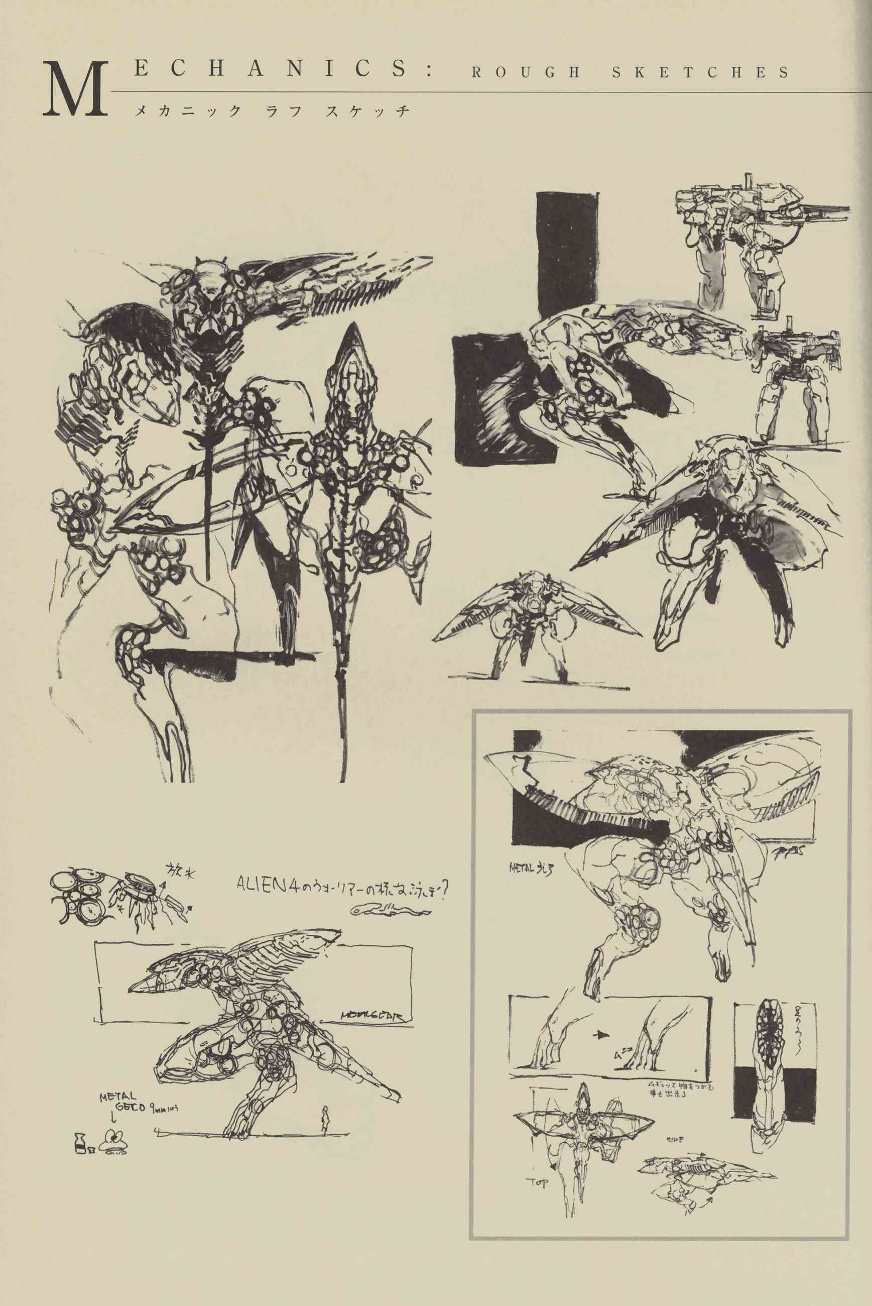 94.jpg