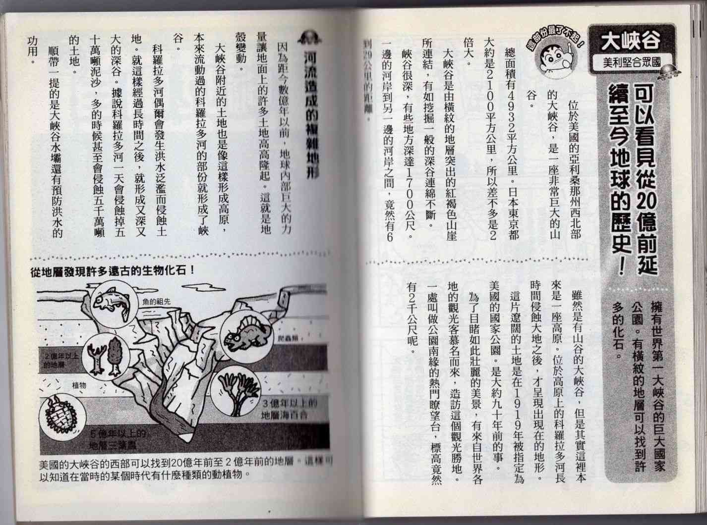 80.jpg