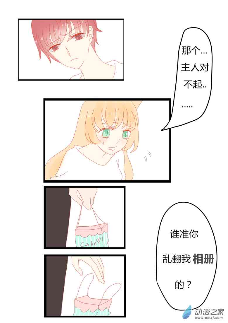 11.jpg