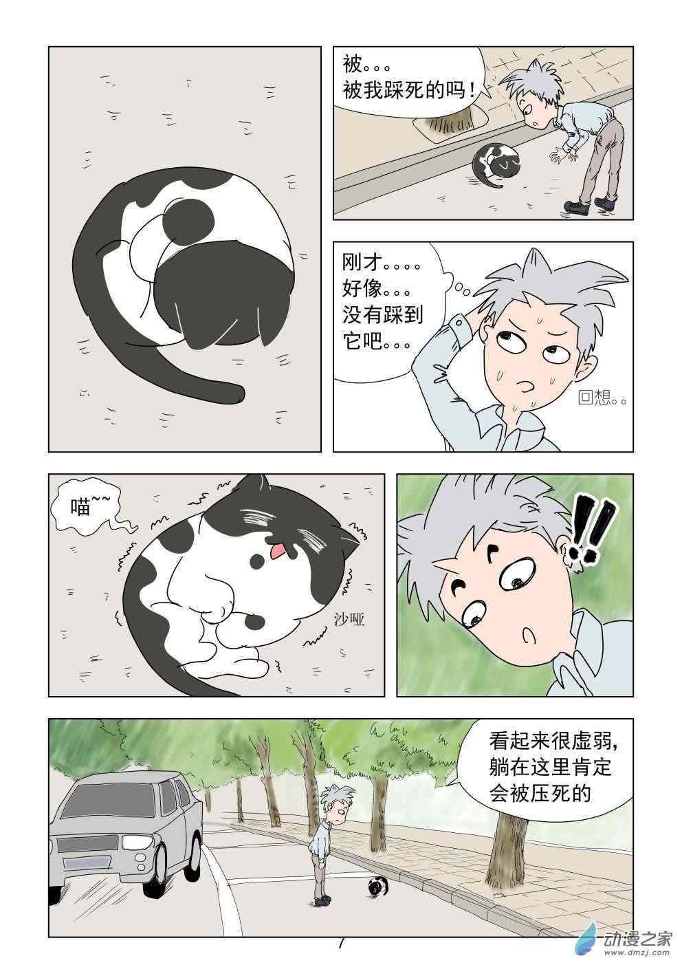7.jpg