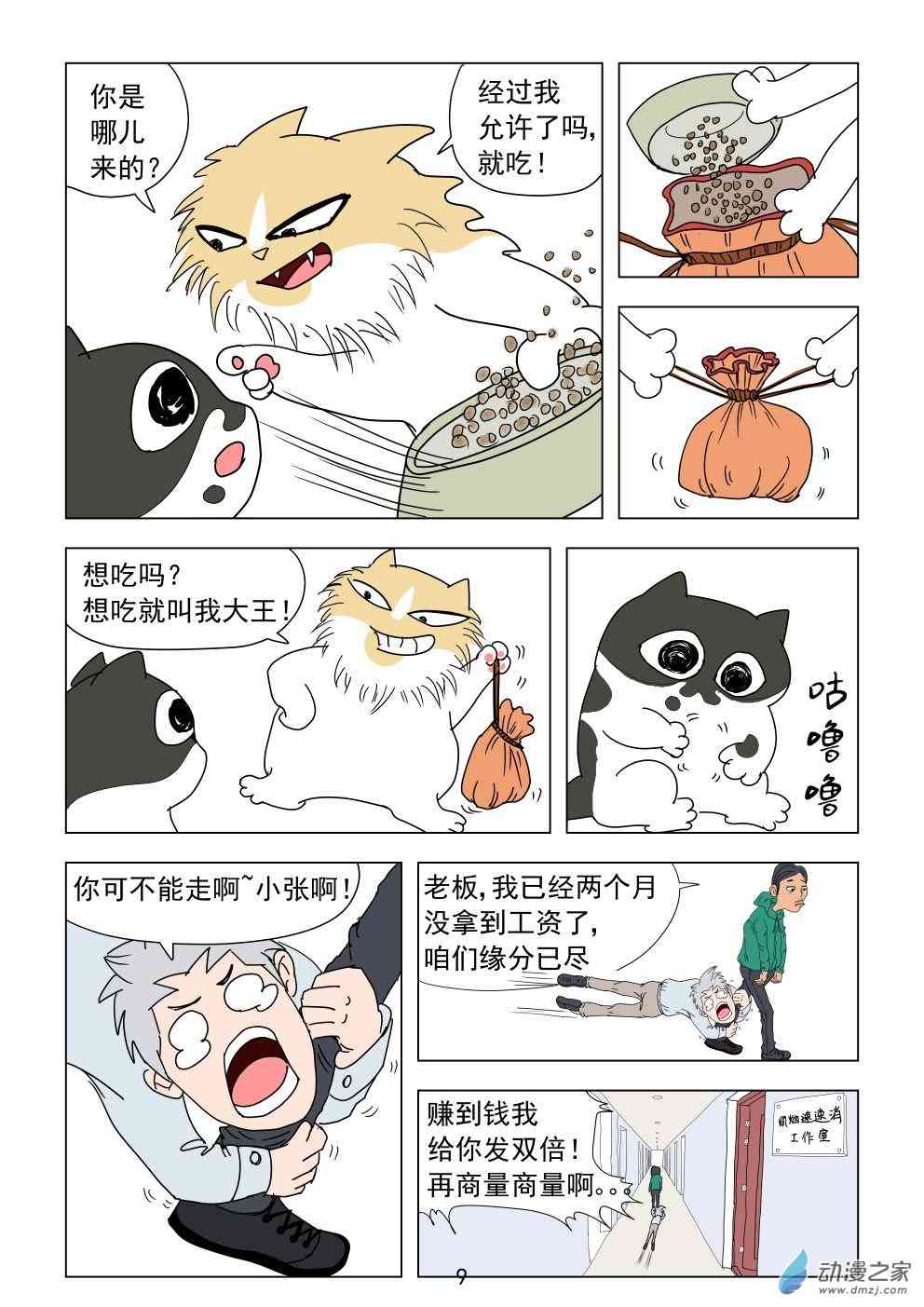 9.jpg