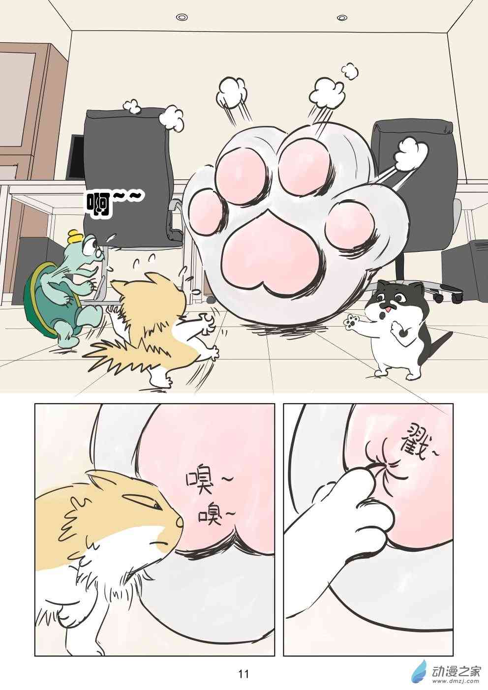 11.jpg
