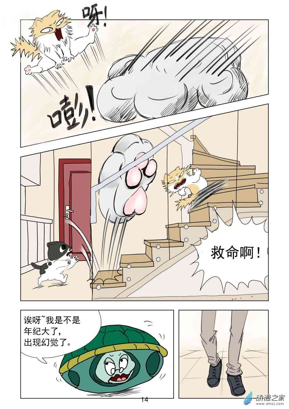 14.jpg