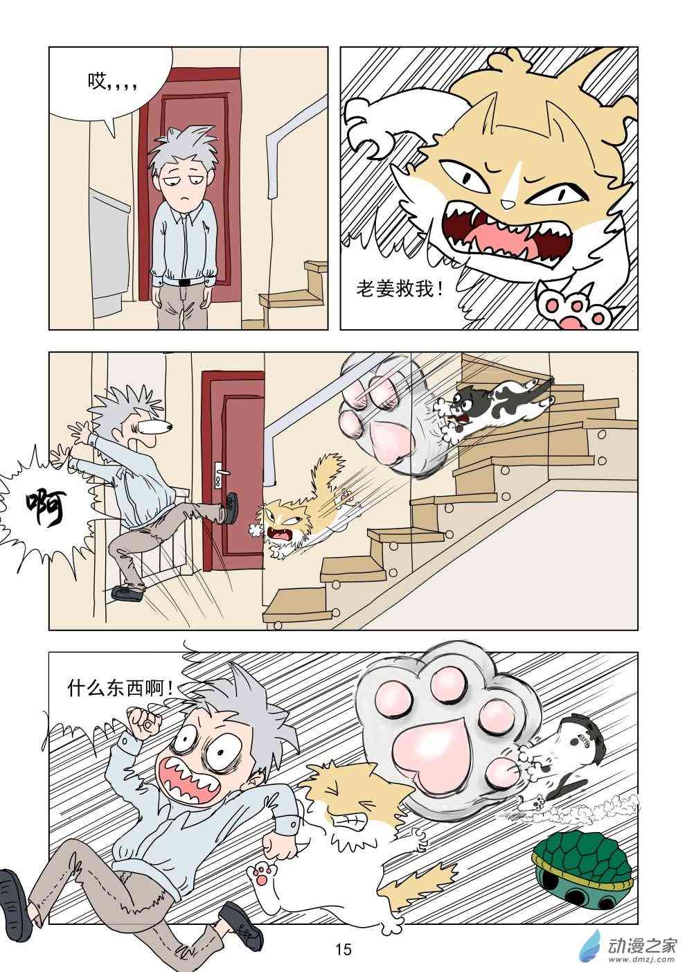 15.jpg