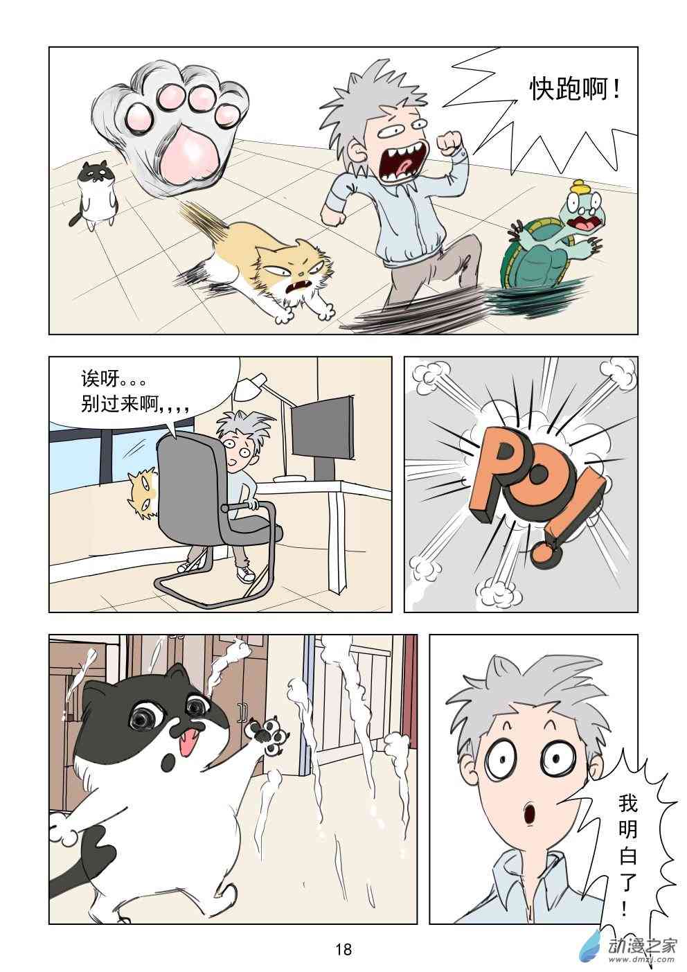 18.jpg