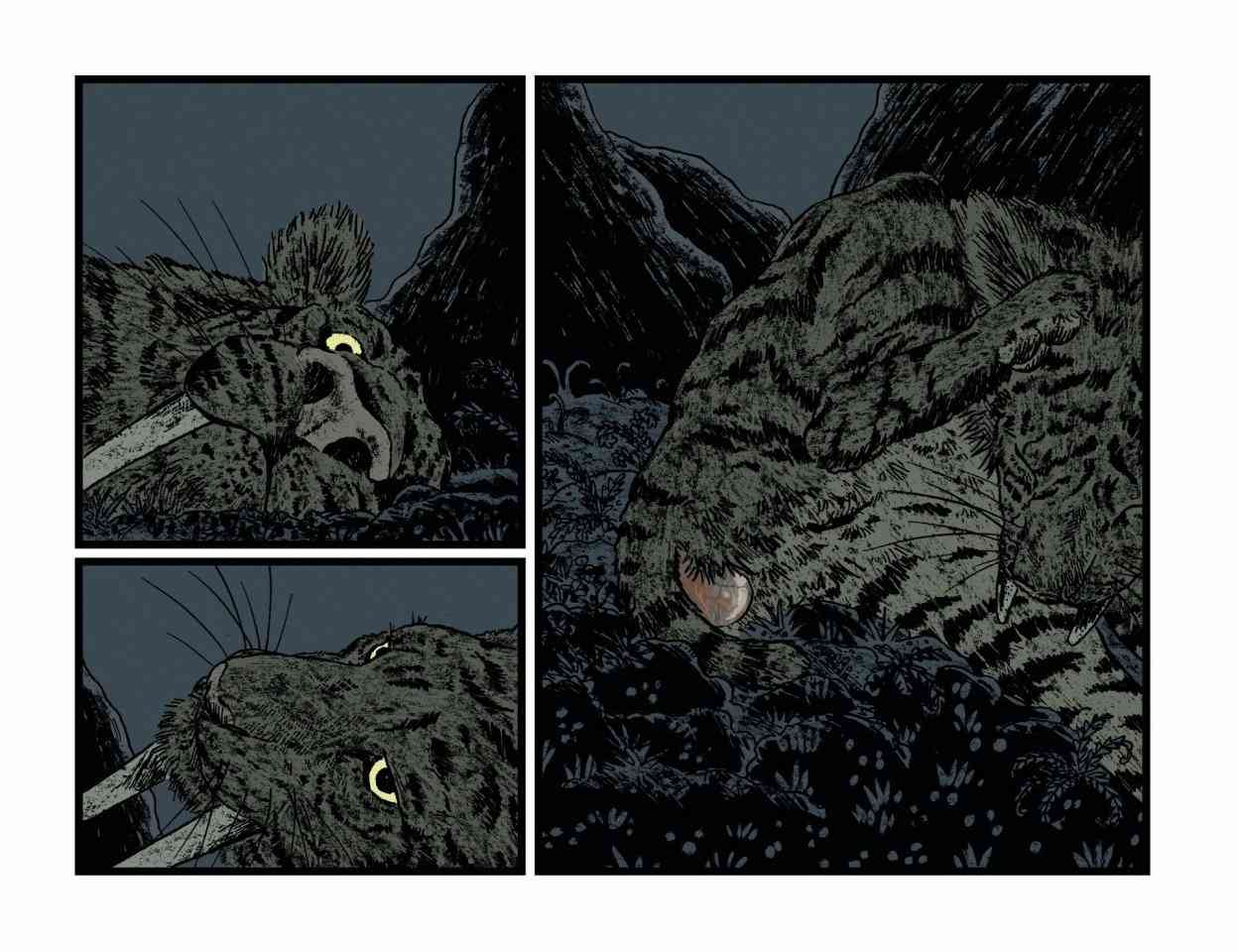 24.jpg
