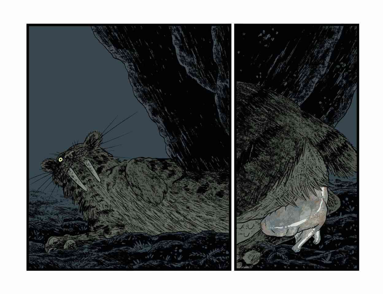 25.jpg
