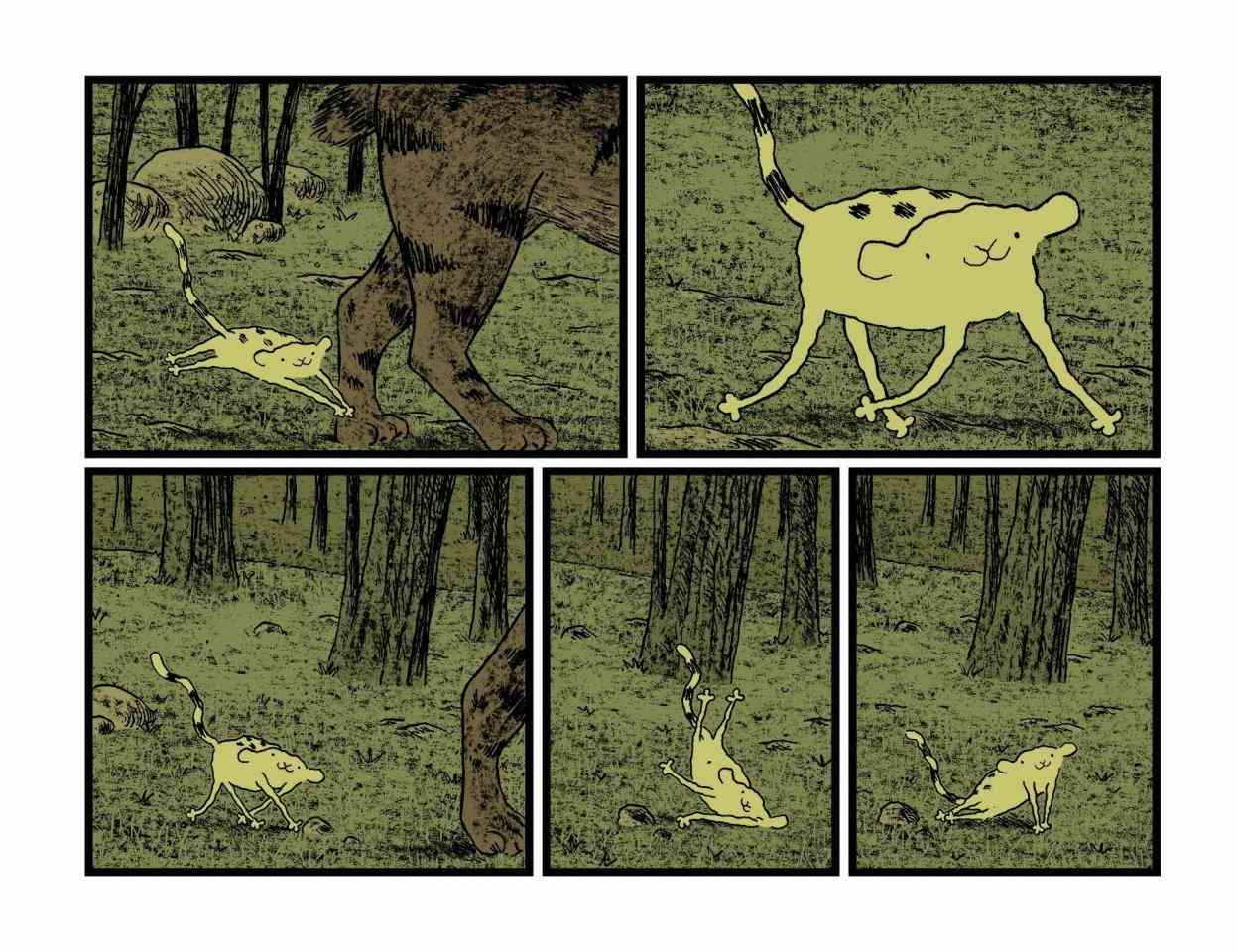 52.jpg