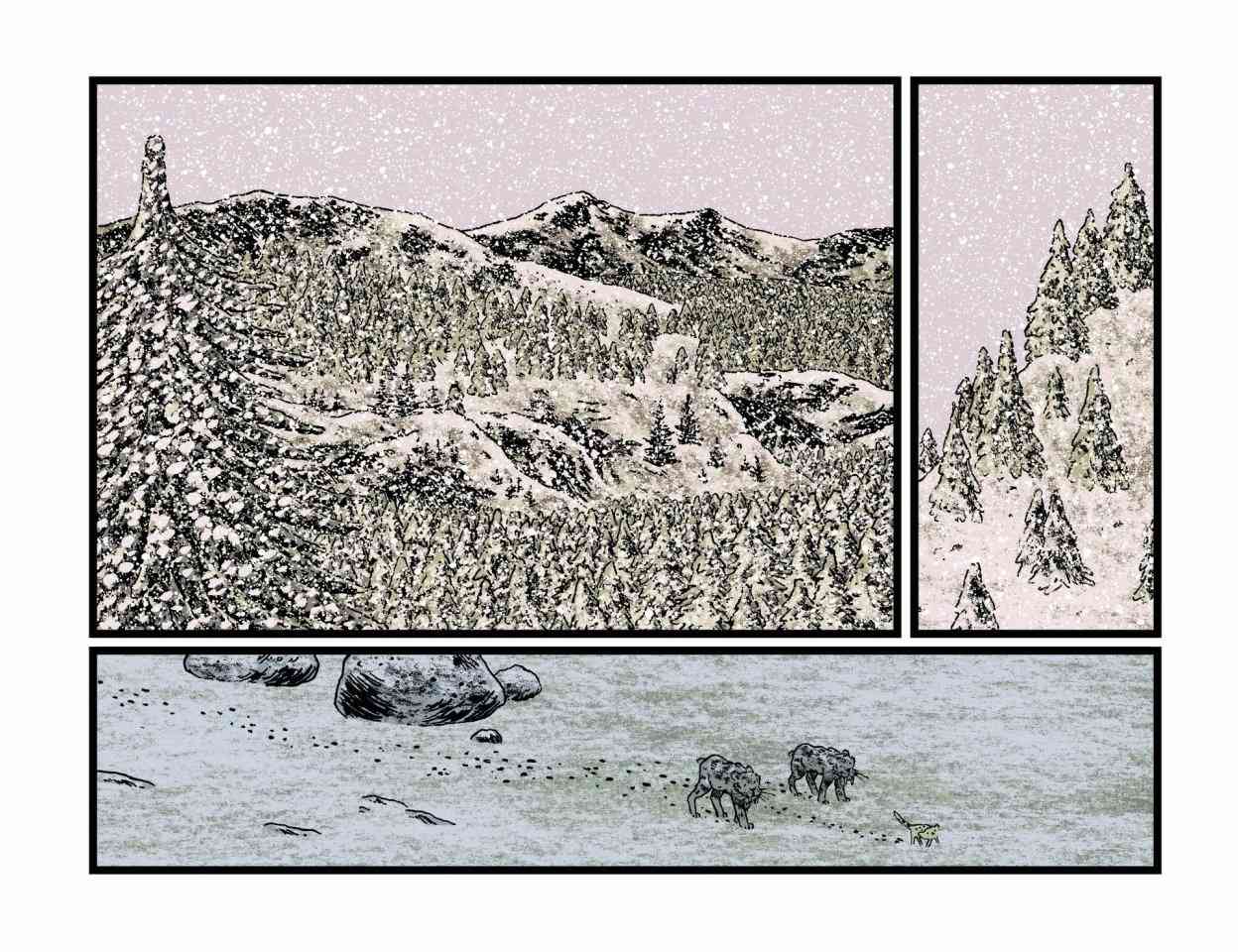 153.jpg