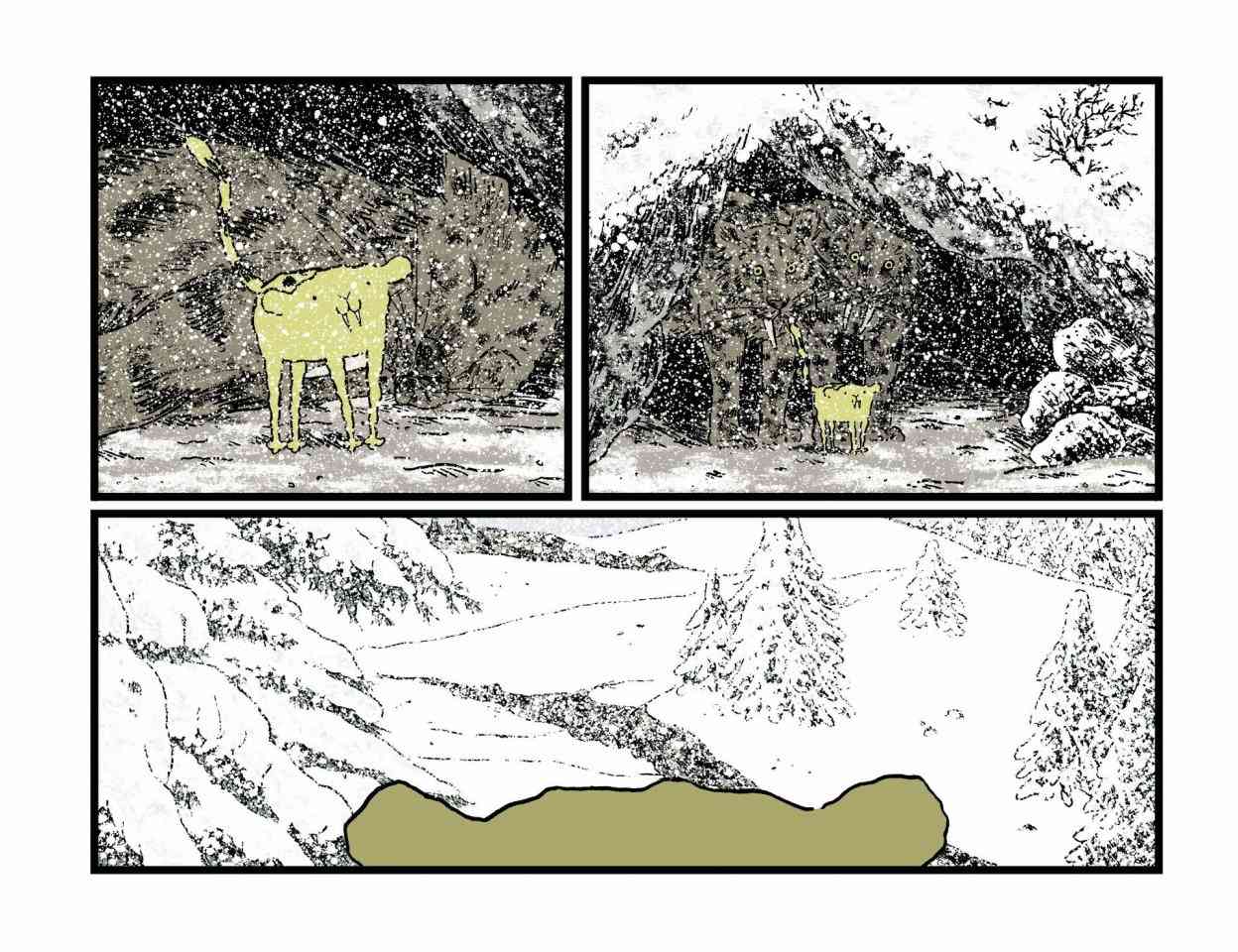 161.jpg