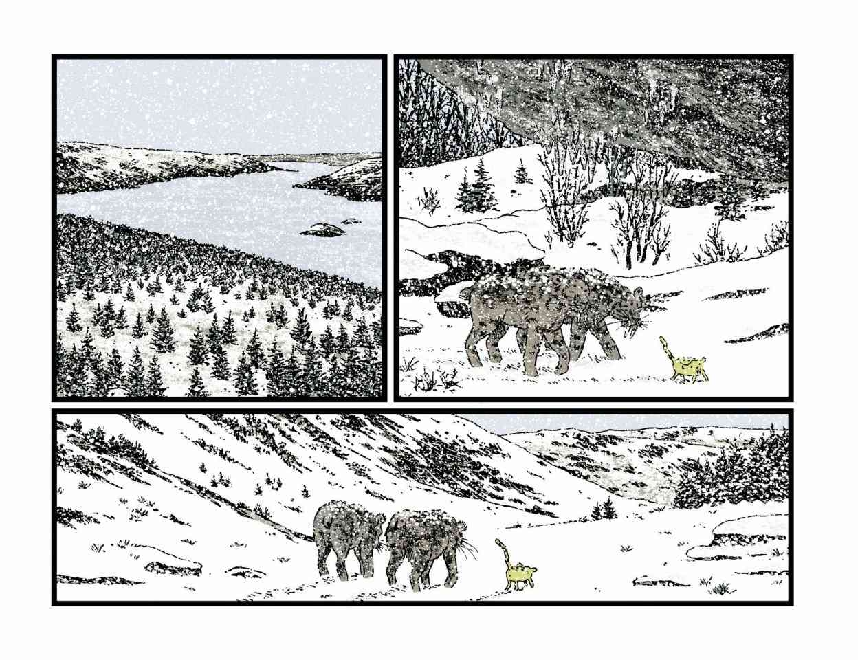 162.jpg