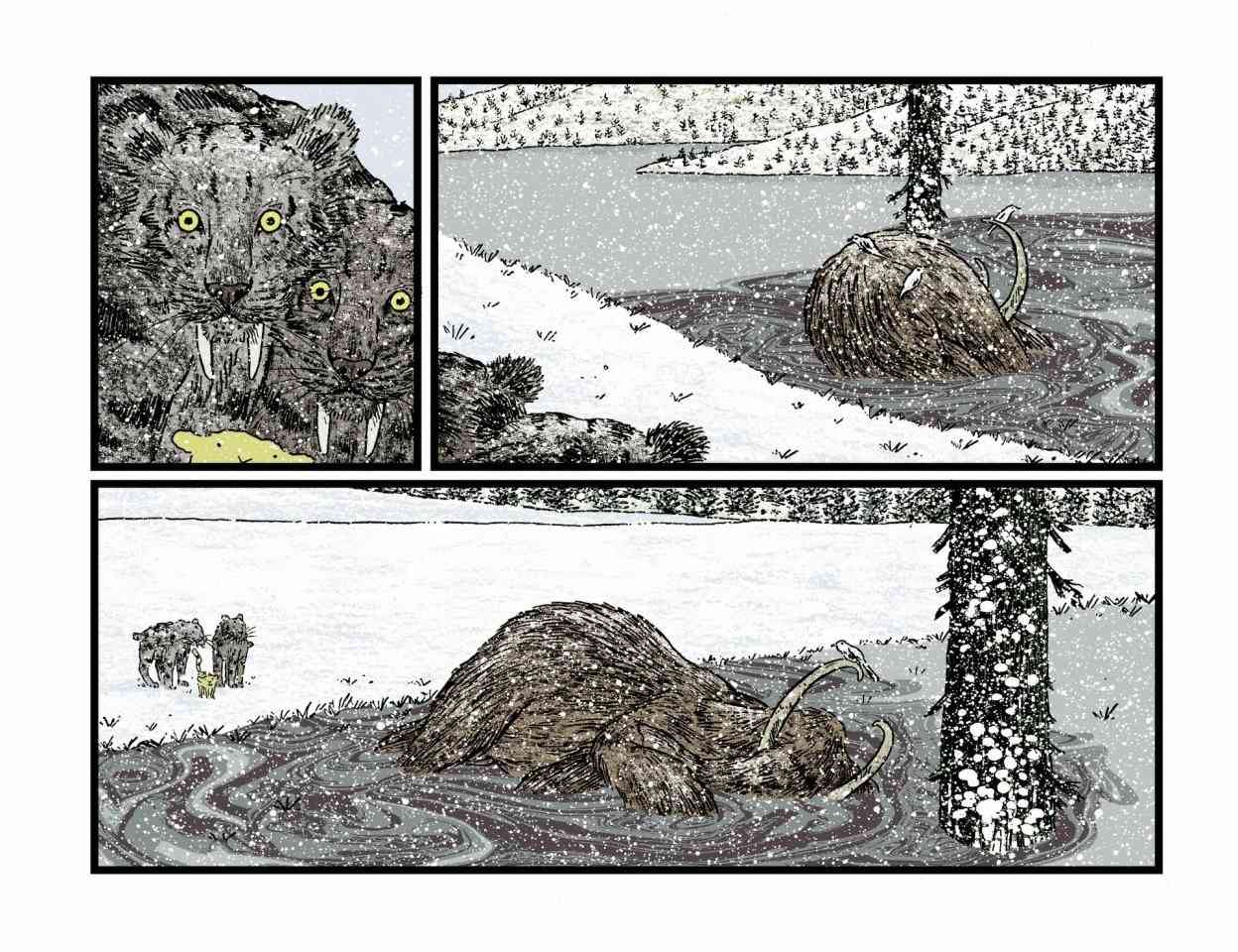 171.jpg
