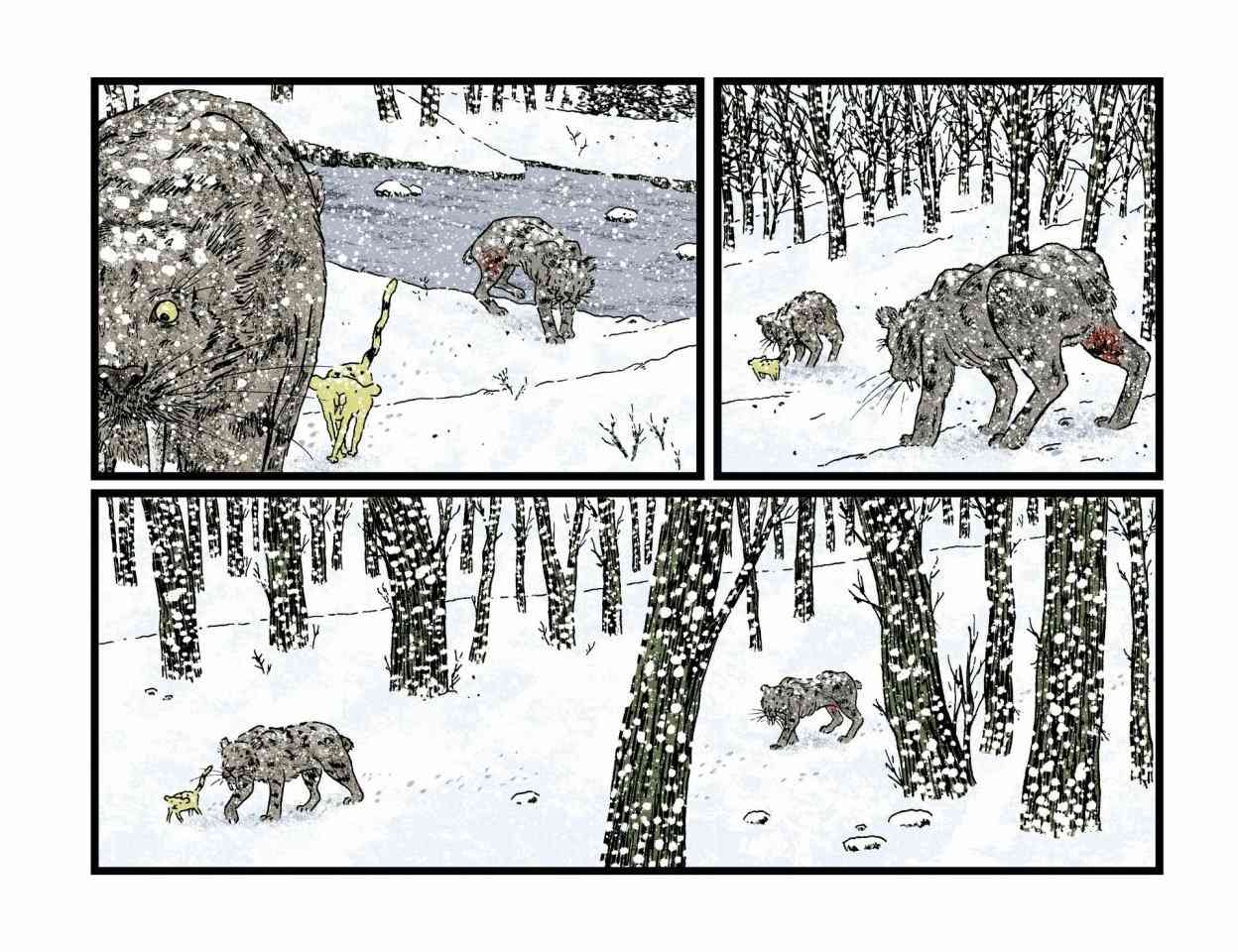 179.jpg