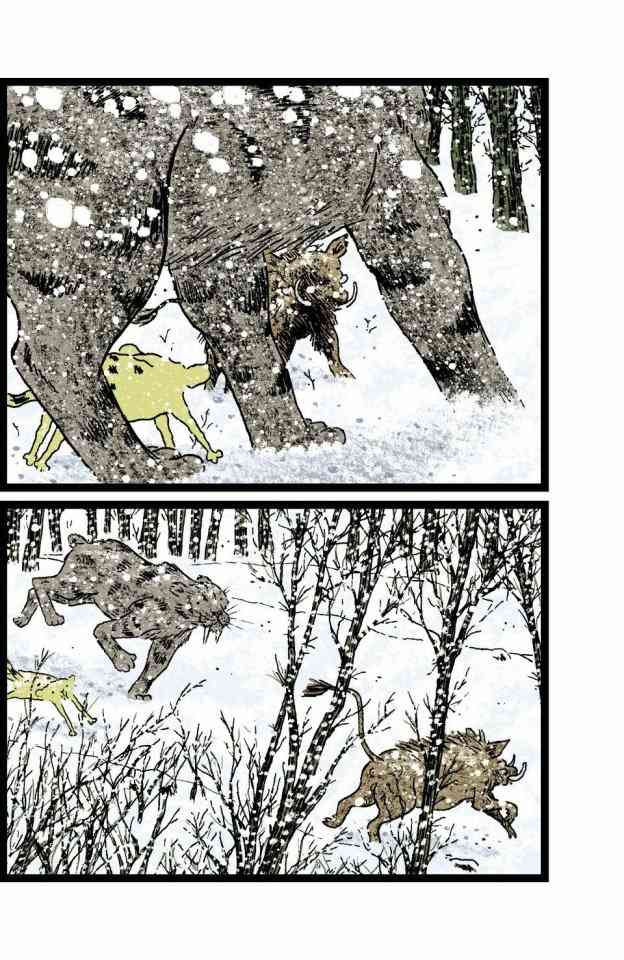 181.jpg