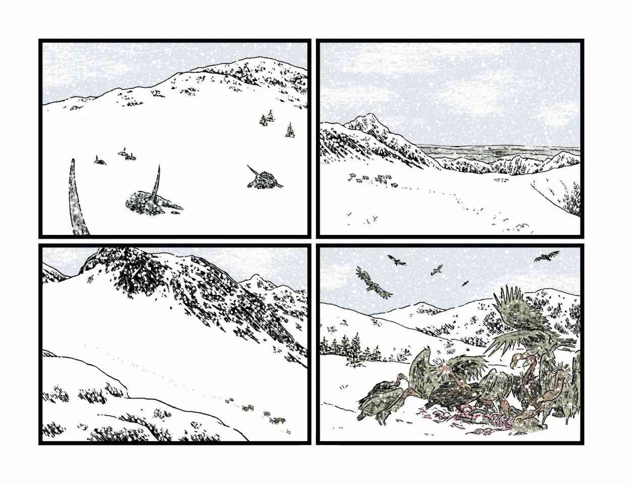 205.jpg