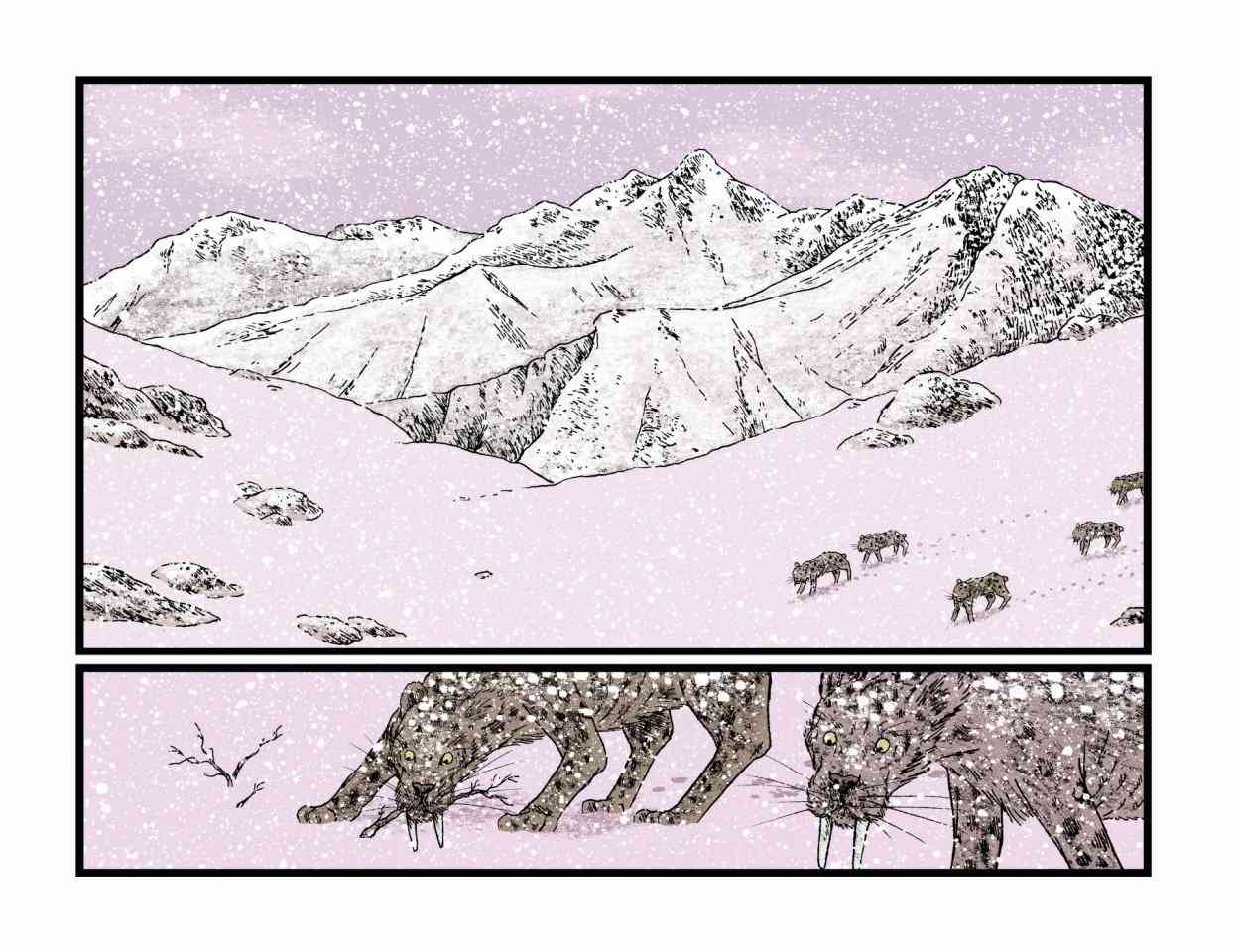 243.jpg