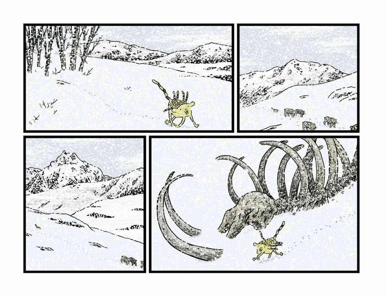 253.jpg