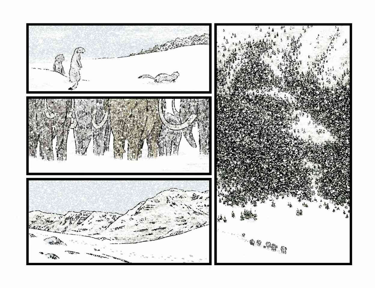 262.jpg