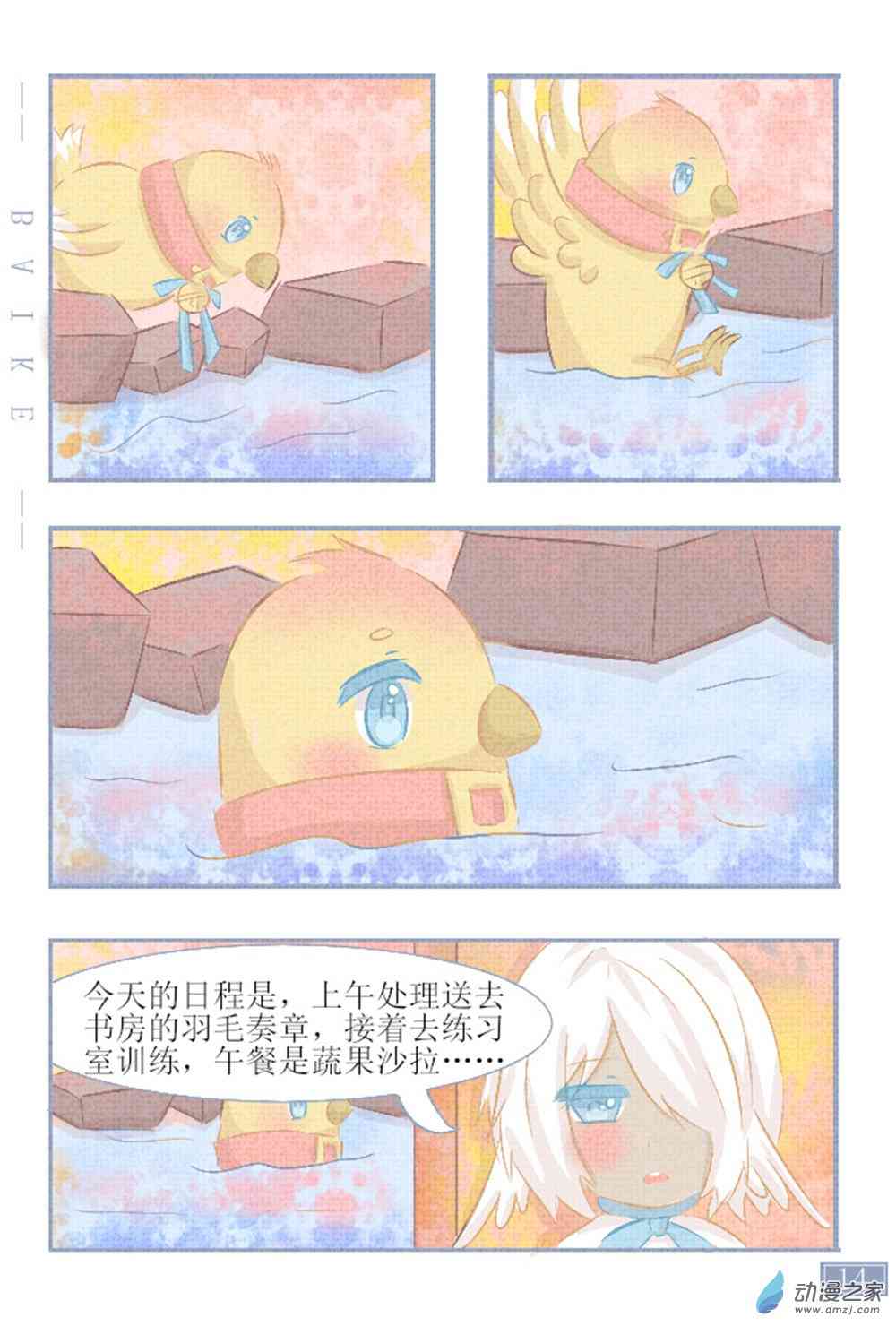 14.jpg