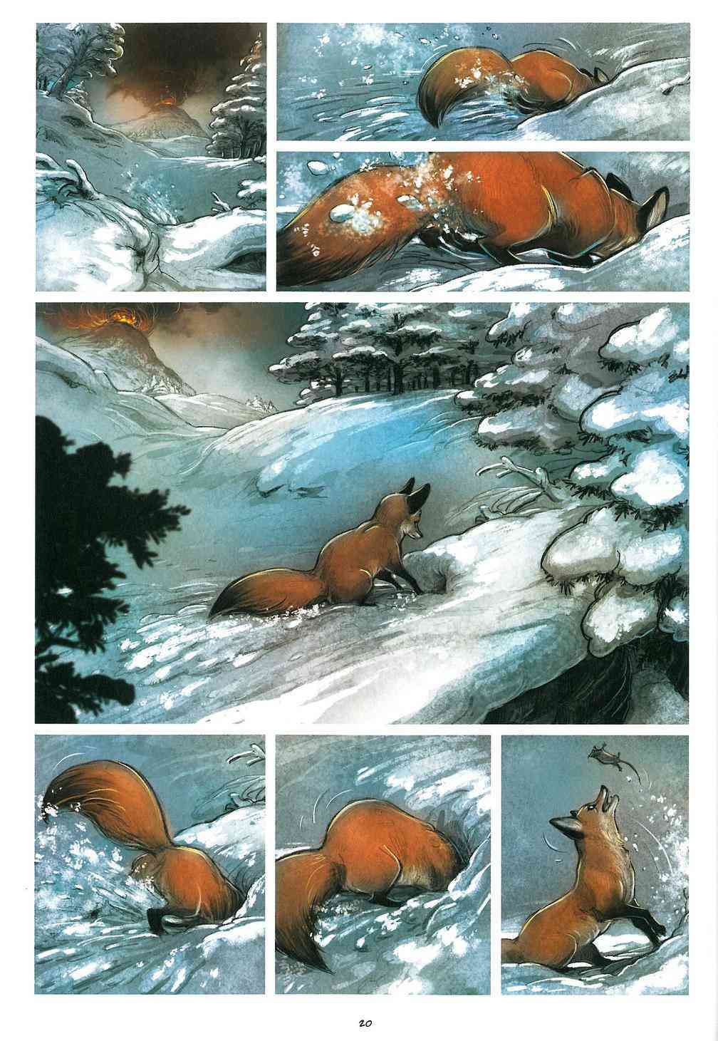 19.jpg