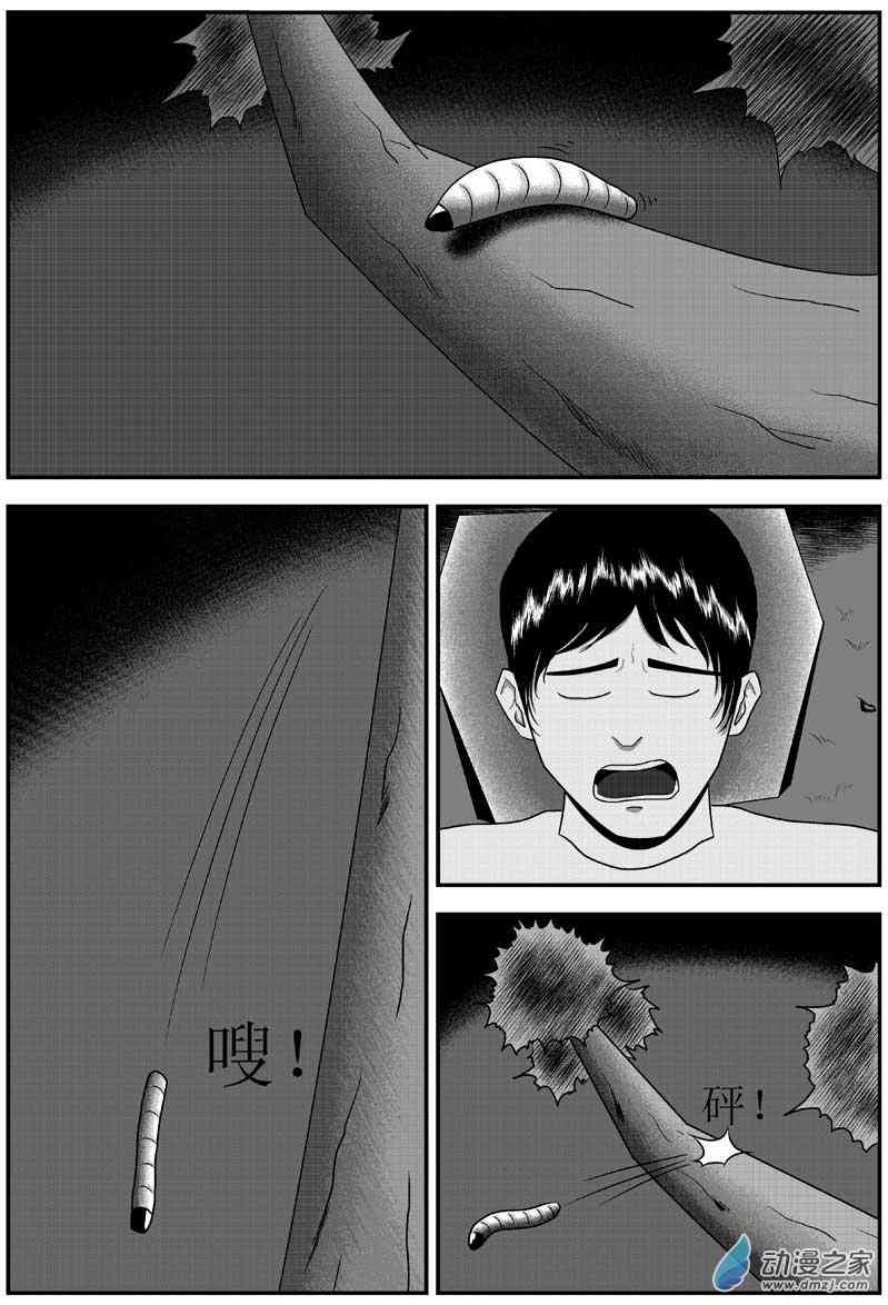 13.jpg