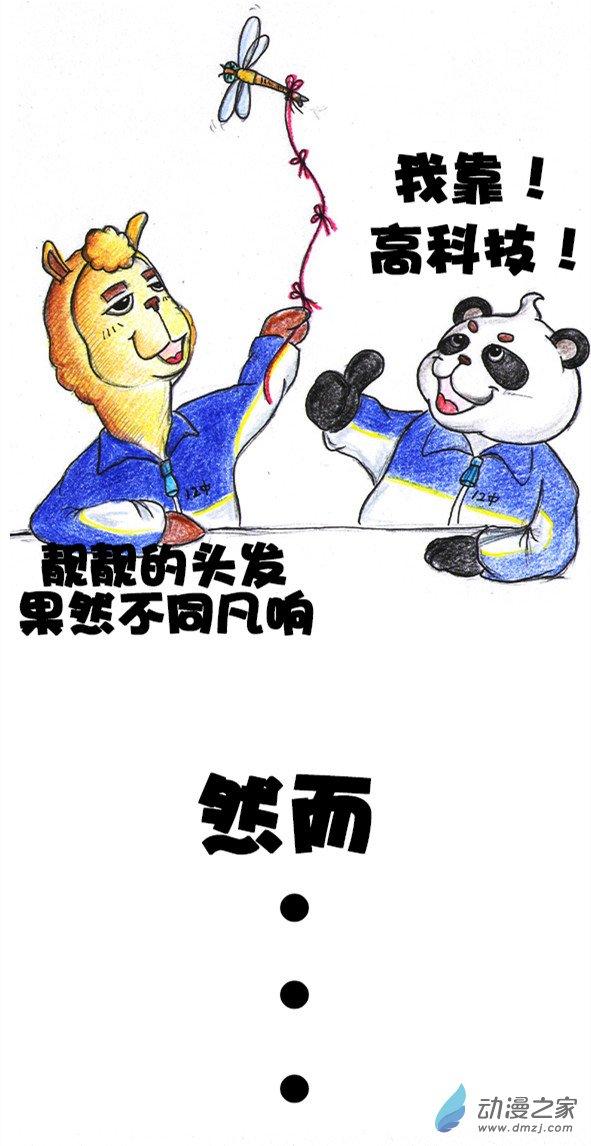12.jpg
