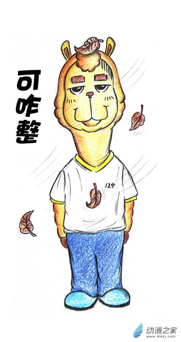 5.jpg