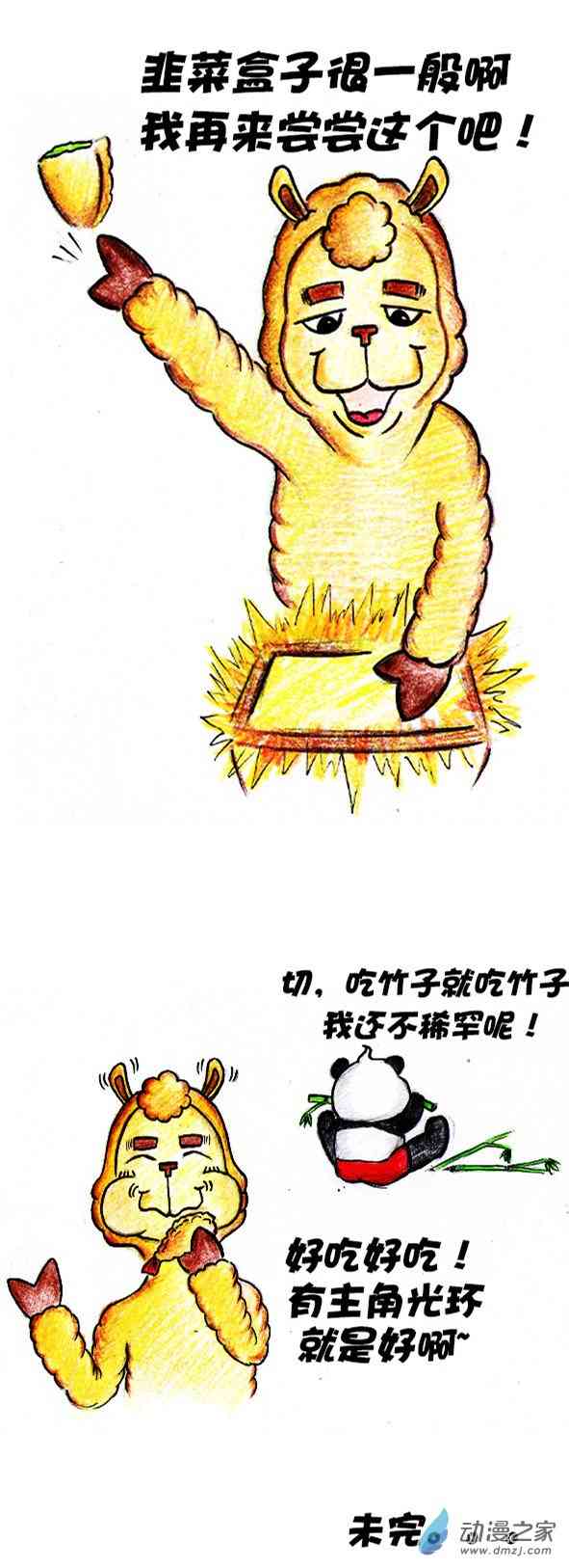 13.jpg
